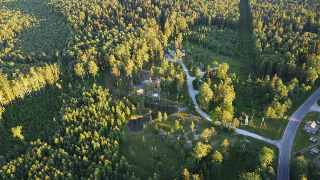 Marika Puhkekuela - Metsanurga Oeoemaja "Shared Bathroom" Nova Zewnętrze zdjęcie